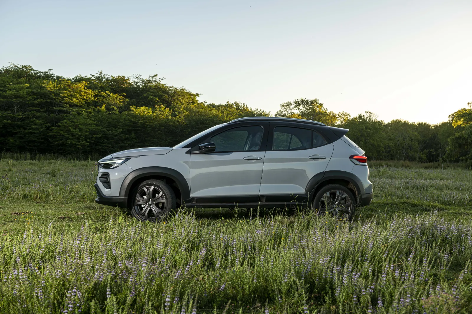 Fiat Pulse — Perfil